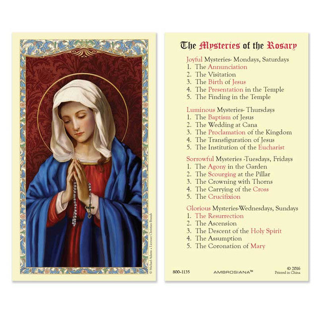 Our Lady of the Rosary Laminated Holy Card - 25/pk – CFaithS