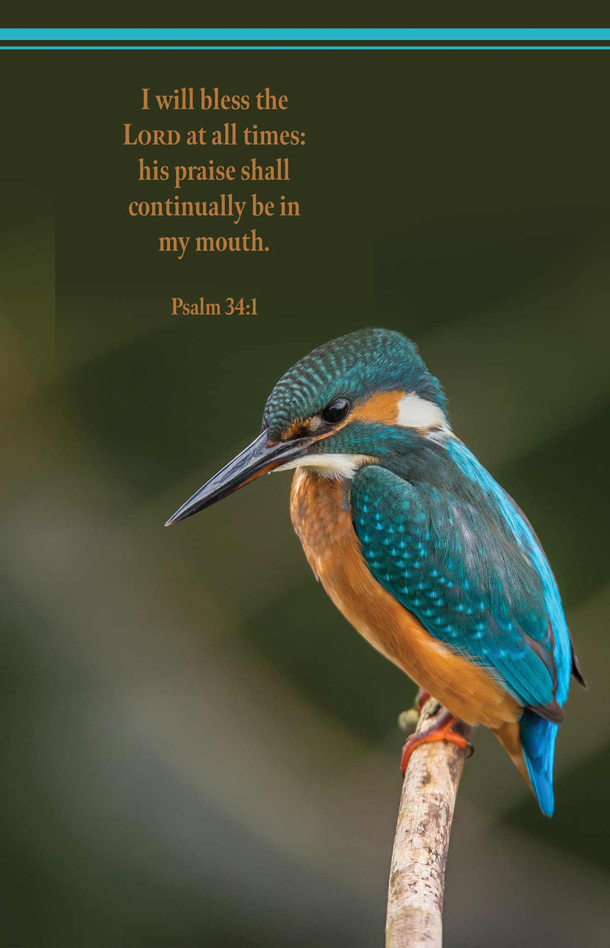 Psalm 34:8 Meaning: "O Taste and See That the LORD Is Good"