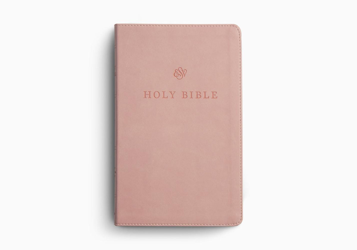 NIV vs ESV: How Bible Translations Differ and How to Choose One