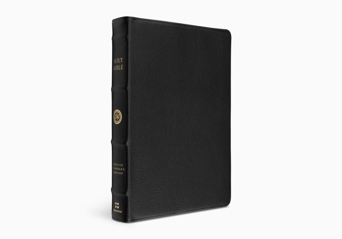 What Is a Reference Bible? Center-Column vs Verse-by-Verse Explained