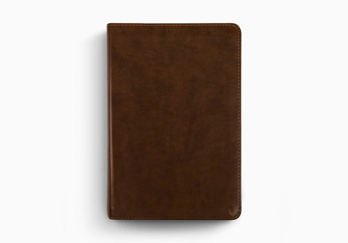 What Is the ESV Bible? The English Standard Version Explained