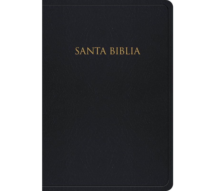 Spanish Bibles (Biblias en español)