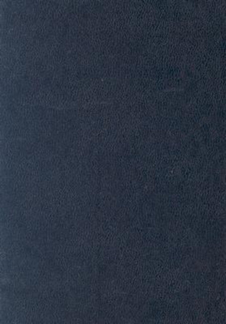 Baptist Church Manual by Broadman and Holman