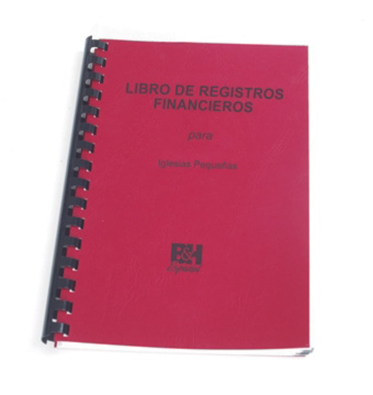Libro de registro financiero para iglesias pequeñas (Finance Record book for Small Churches) by Broadman and Holman