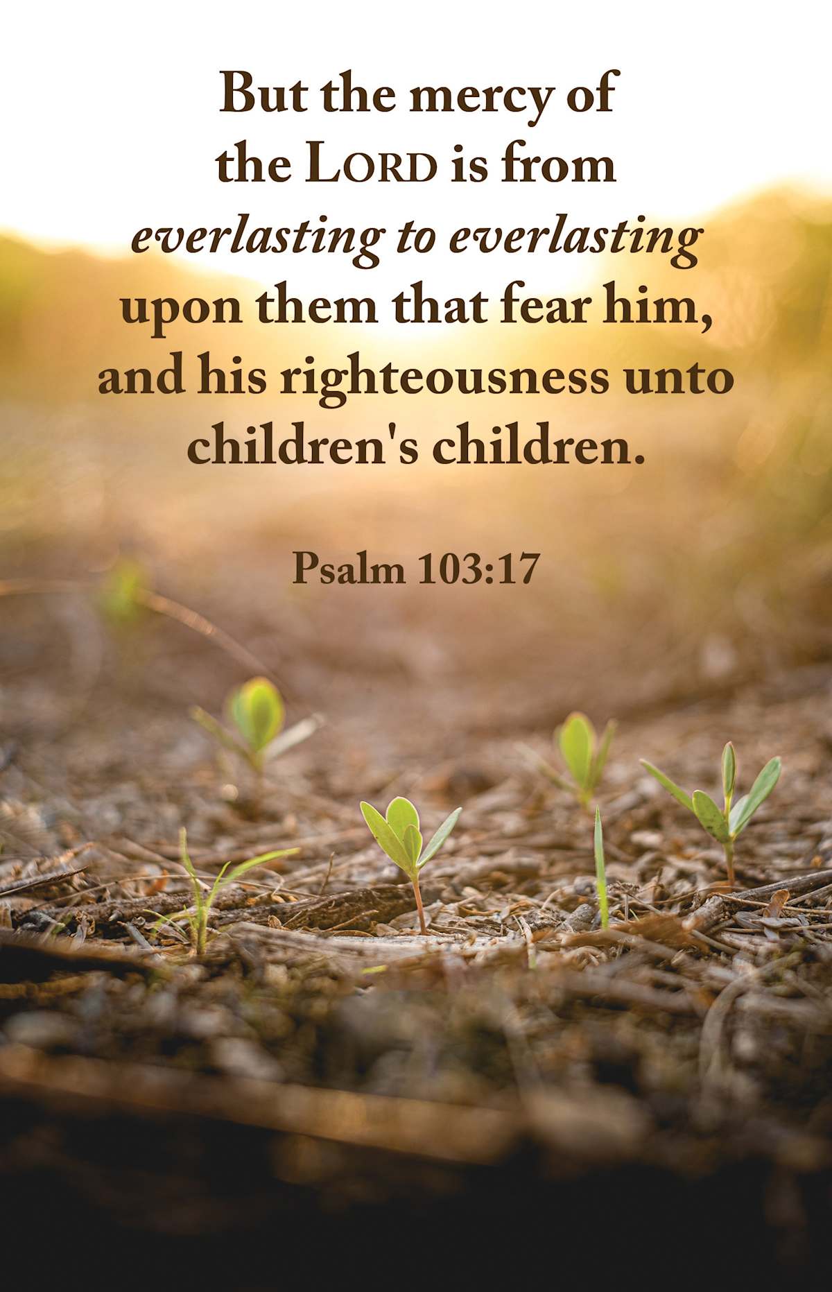 Legacy Bulletin: The Mercy (Package of 100): Psalm 103:17 (KJV) by Broadman and Holman