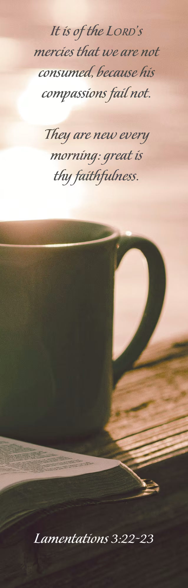 Inspirational Bookmark: His Mercies (Package of 25): Lamentations 3:22-23 (KJV)