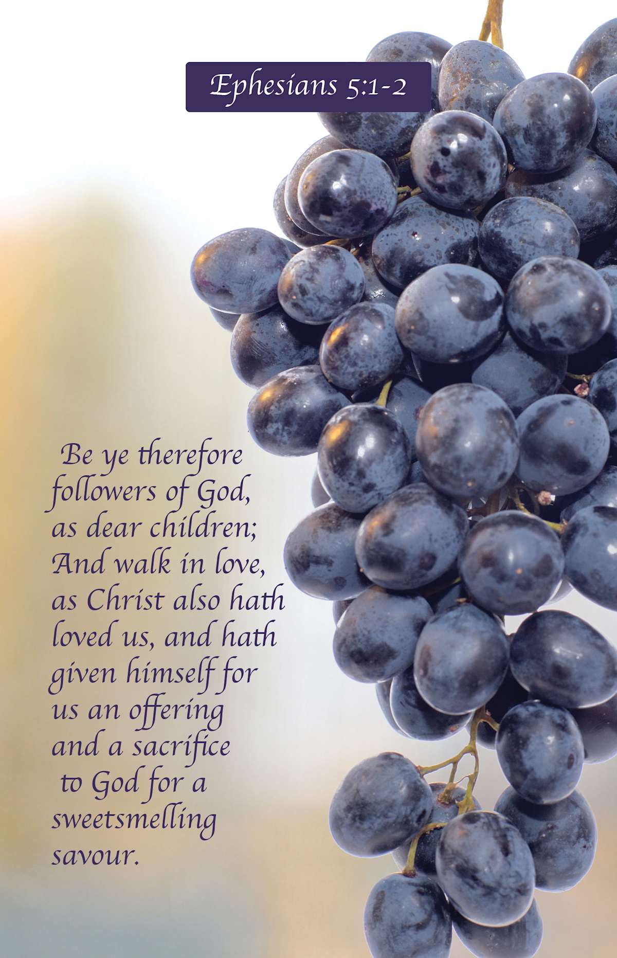 Communion Bulletin: Followers (Package of 100): Ephesians 5:1-2 (KJV) by Broadman and Holman