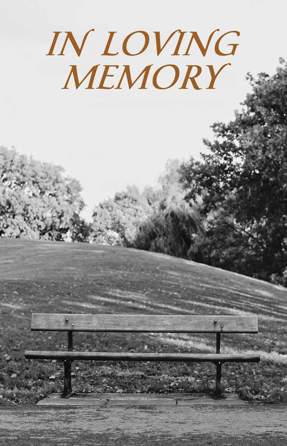 Funeral Bulletin: In Loving Memory (Package of 100) (Pack of 100) by Broadman and Holman