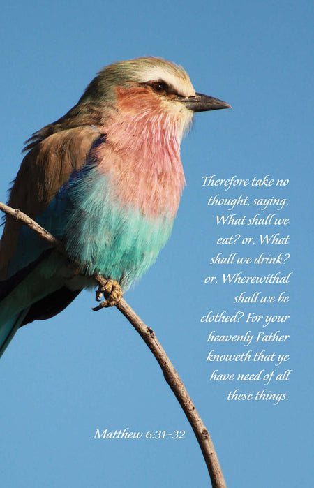 General Worship Bulletin: Your Heavenly Father Knoweth (Package of 100): Matthew 6:31-32 (KJV) by Broadman and Holman