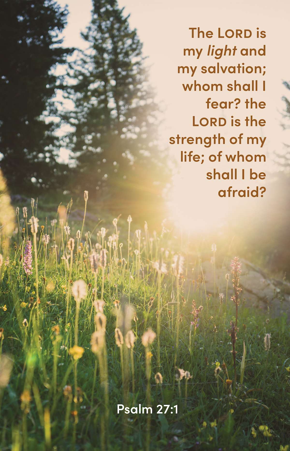 General Worship Bulletin: The Lord Is My Light (Package of 100): Psalm 27:1 (KJV) by Broadman and Holman
