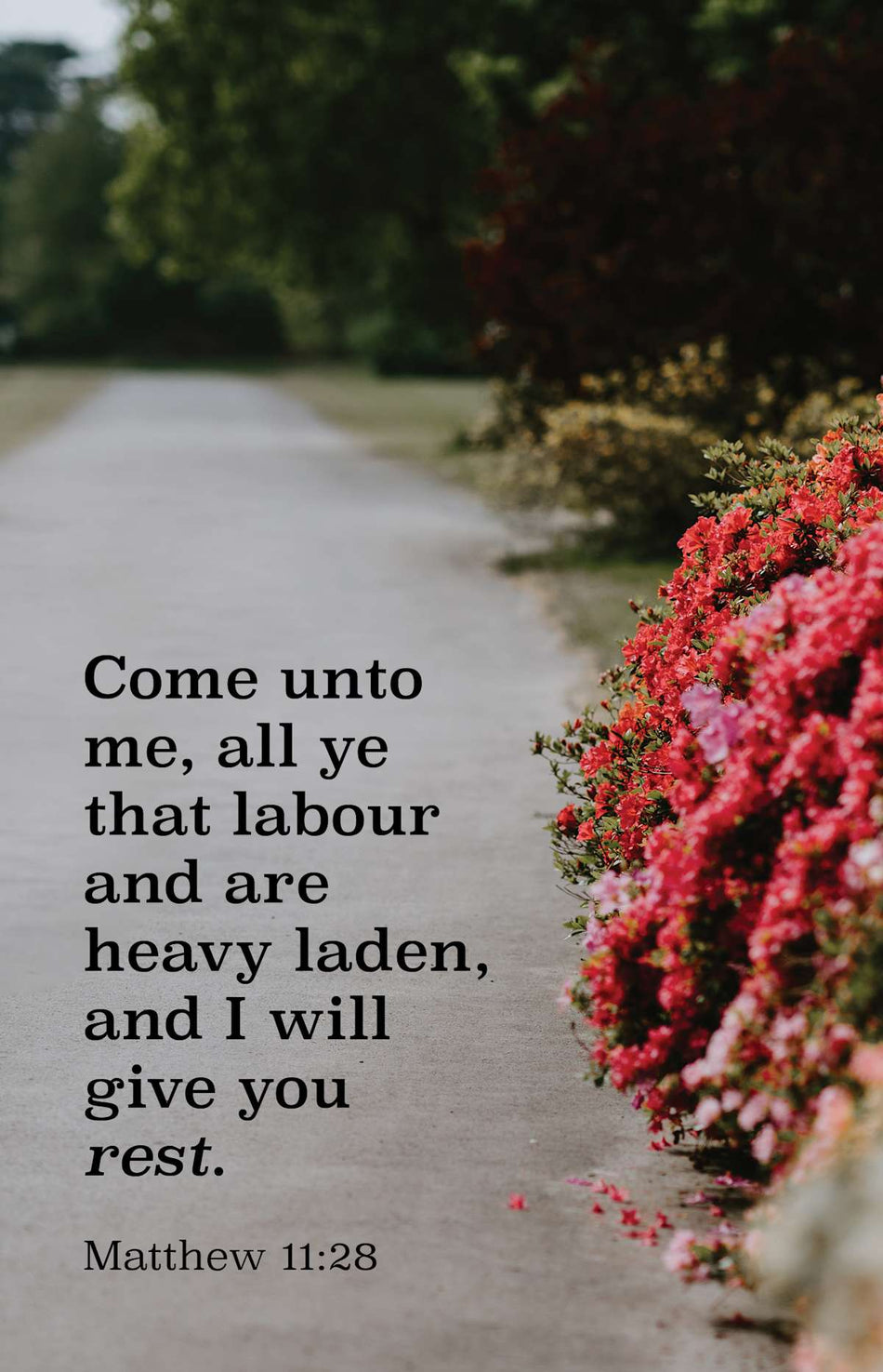 General Worship Bulletin: All Ye That Labour (Package of 100): Matthew 11:28 (KJV) by Broadman and Holman