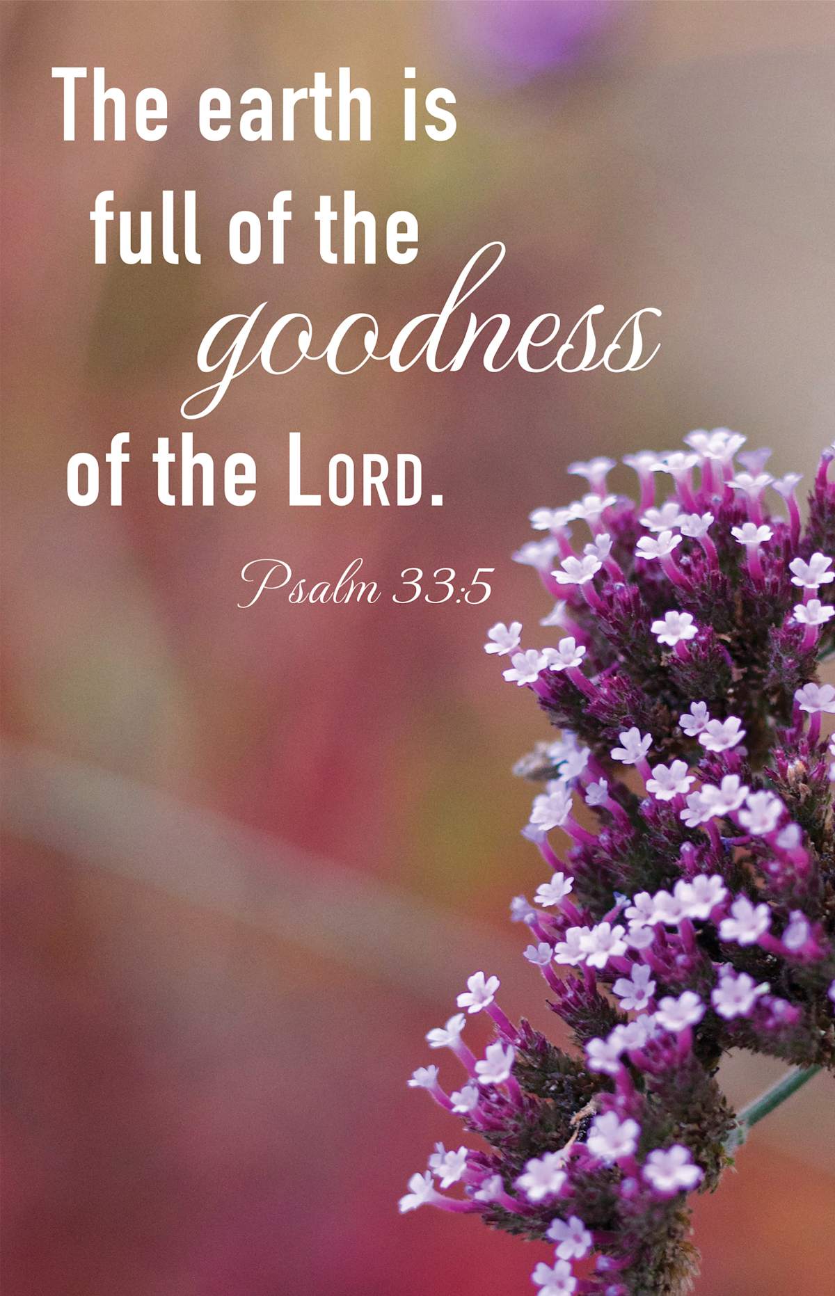 General Worship Bulletin: Earth Is Full (Package of 100): Psalm 33:5 (KJV) by Broadman and Holman
