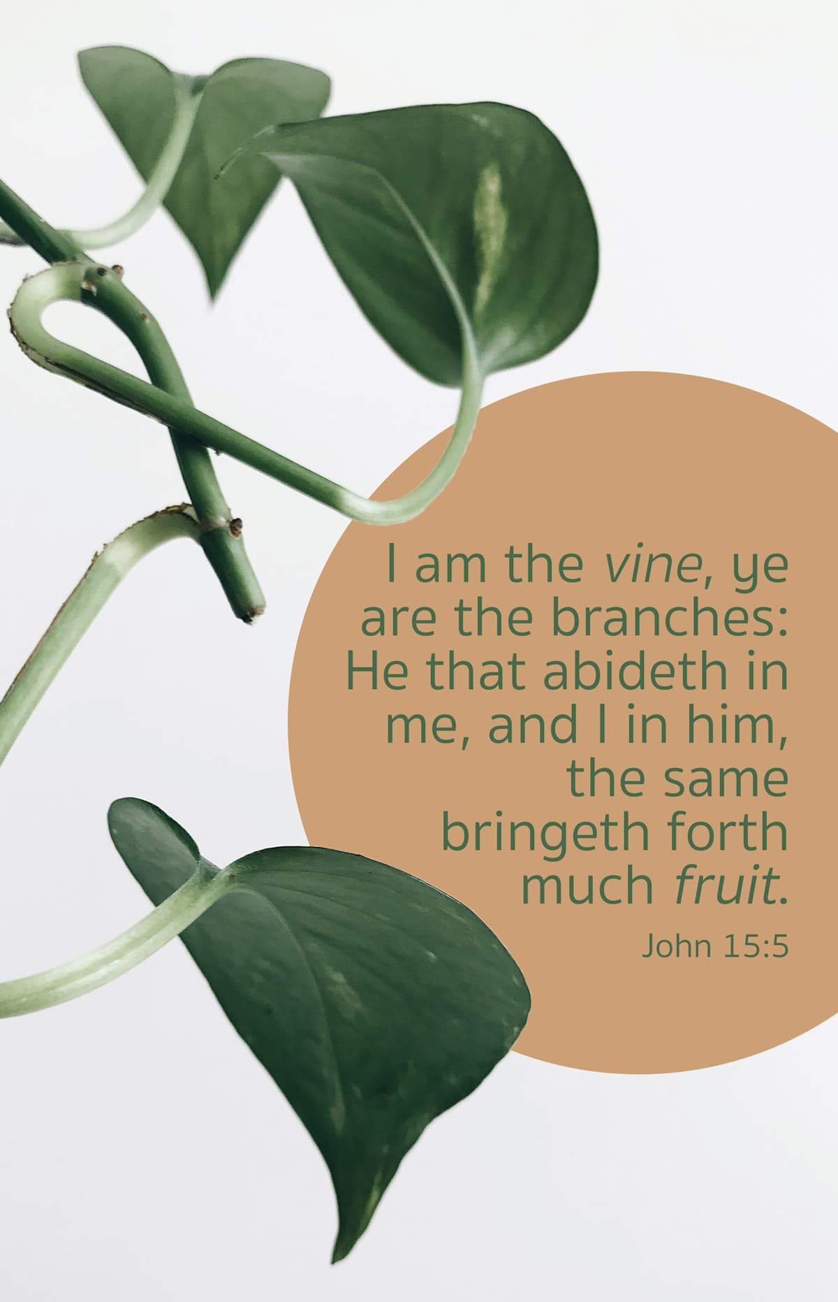 General Worship Bulletin: Much Fruit (Package of 100): John 15:5 (KJV) by Broadman and Holman
