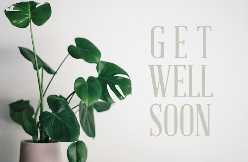 Concern Postcard: Get Well Soon (Package of 25): John 3:16 (KJV)