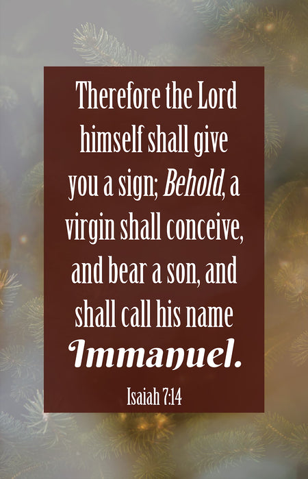Christmas Bulletin: Behold (Package of 100): Isaiah 7:14 (KJV) by Broadman and Holman