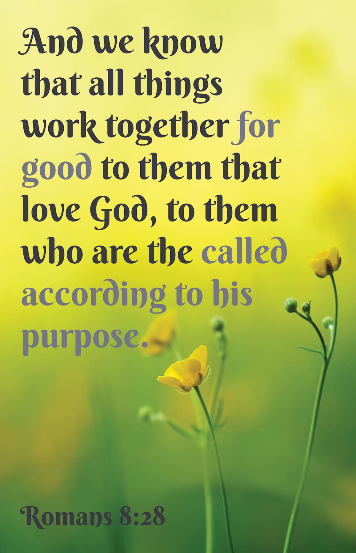 General Worship Bulletin: All Things (Package of 100): Romans 8:28 (KJV) by Broadman and Holman