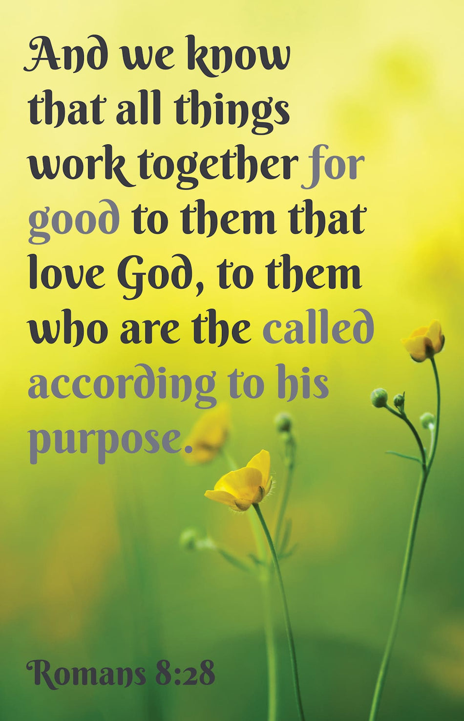 General Worship Bulletin: All Things (Package of 100): Romans 8:28 (KJV) by Broadman and Holman