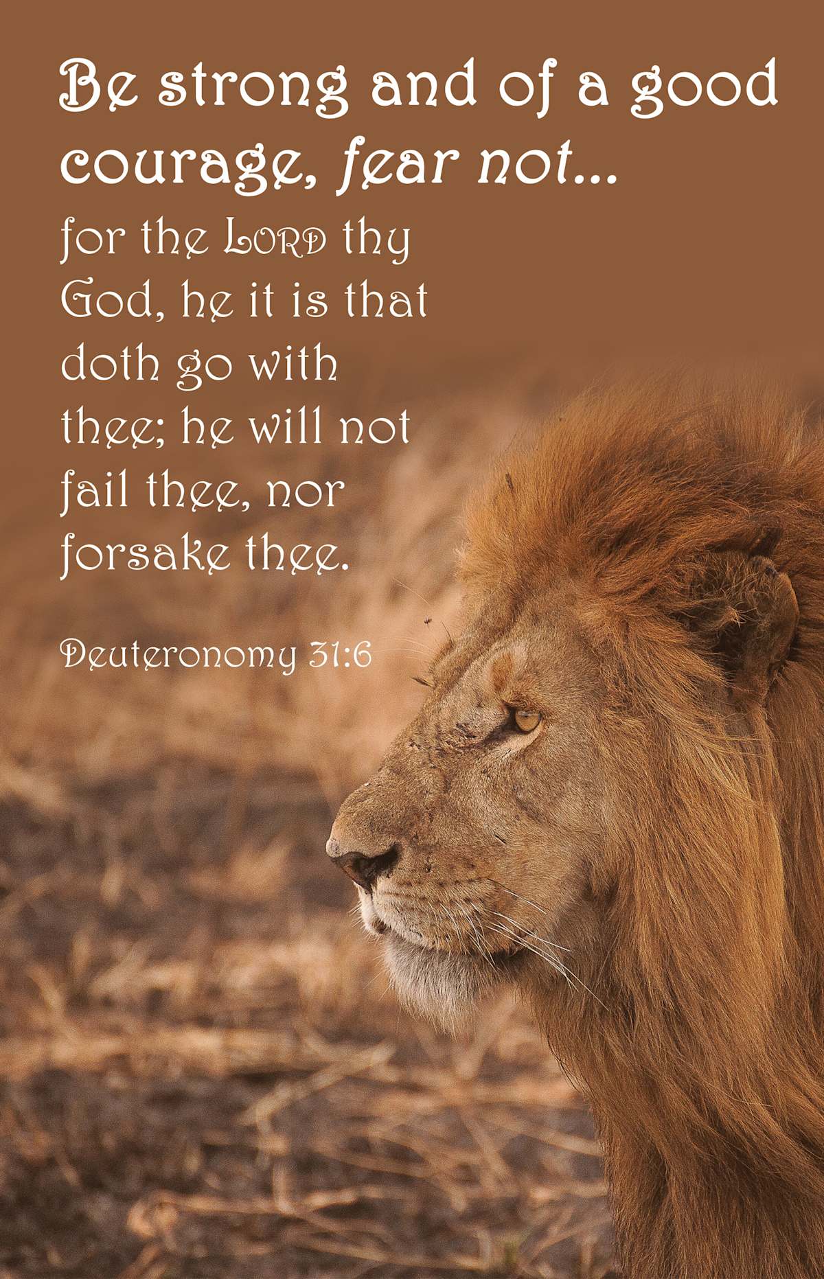 General Worship Bulletin: Good Courage (Package of 100): Deuteronomy 31:6 (KJV) by Broadman and Holman