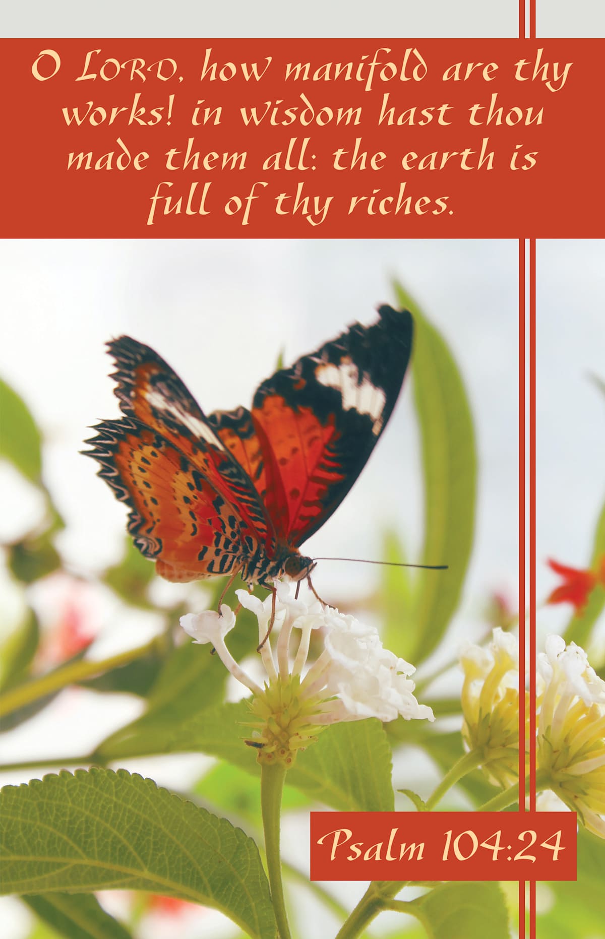 General Worship Bulletin: How Manifold (Package of 100): Psalm 104:24 (KJV) by Broadman and Holman