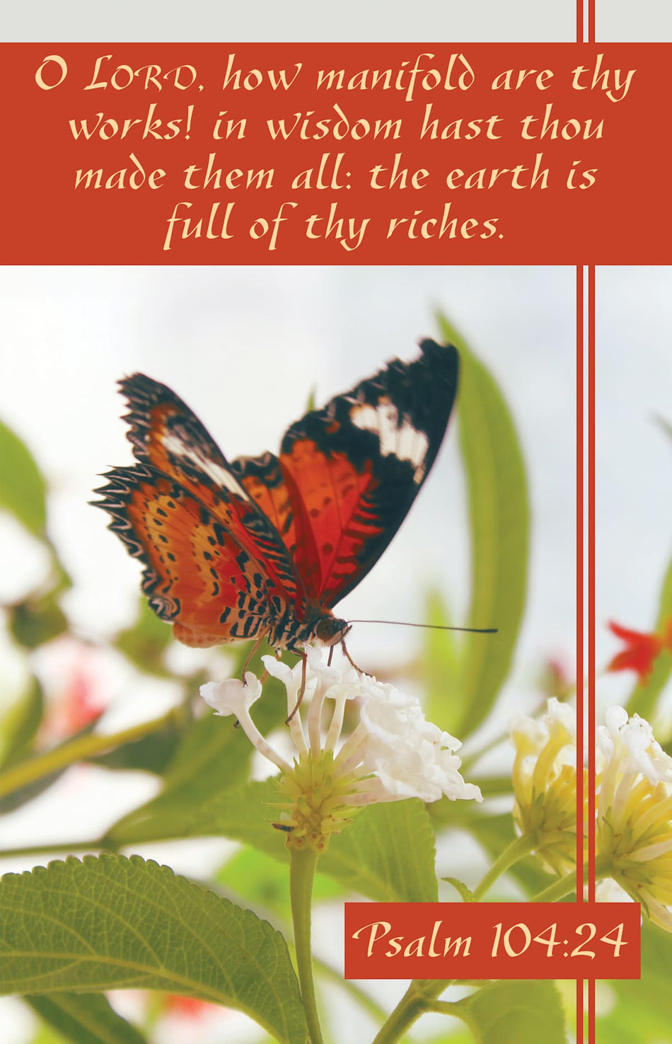 General Worship Bulletin: How Manifold (Package of 100): Psalm 104:24 (KJV) by Broadman and Holman