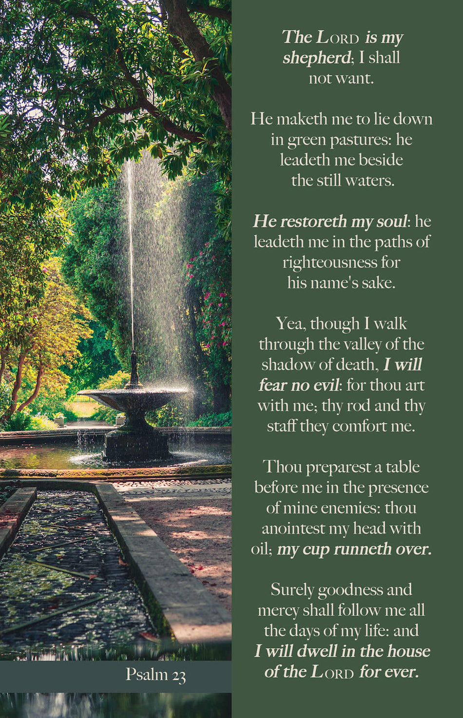 Funeral Bulletin: And Mercy (Package of 100): Psalm 23 (KJV) by Broadman and Holman