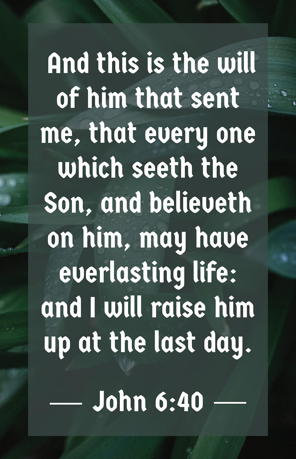 Funeral Bulletin: That Everyone (Package of 100): John 6:40 (KJV) by Broadman and Holman