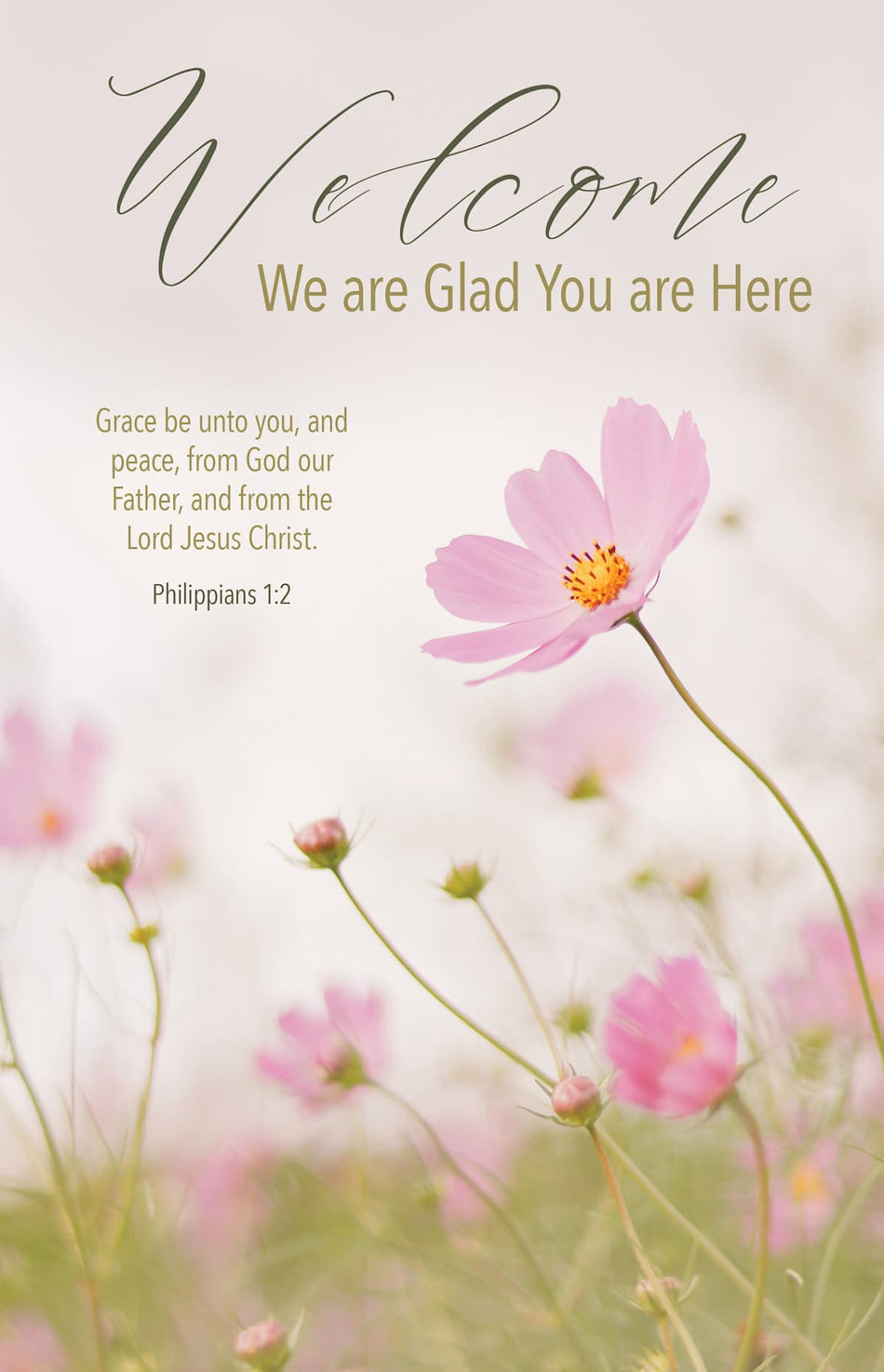 General Worship Bulletin: We Are Glad You Are Here - Spring (Package of 100): Philippians 1:2 (KJV) by Broadman and Holman
