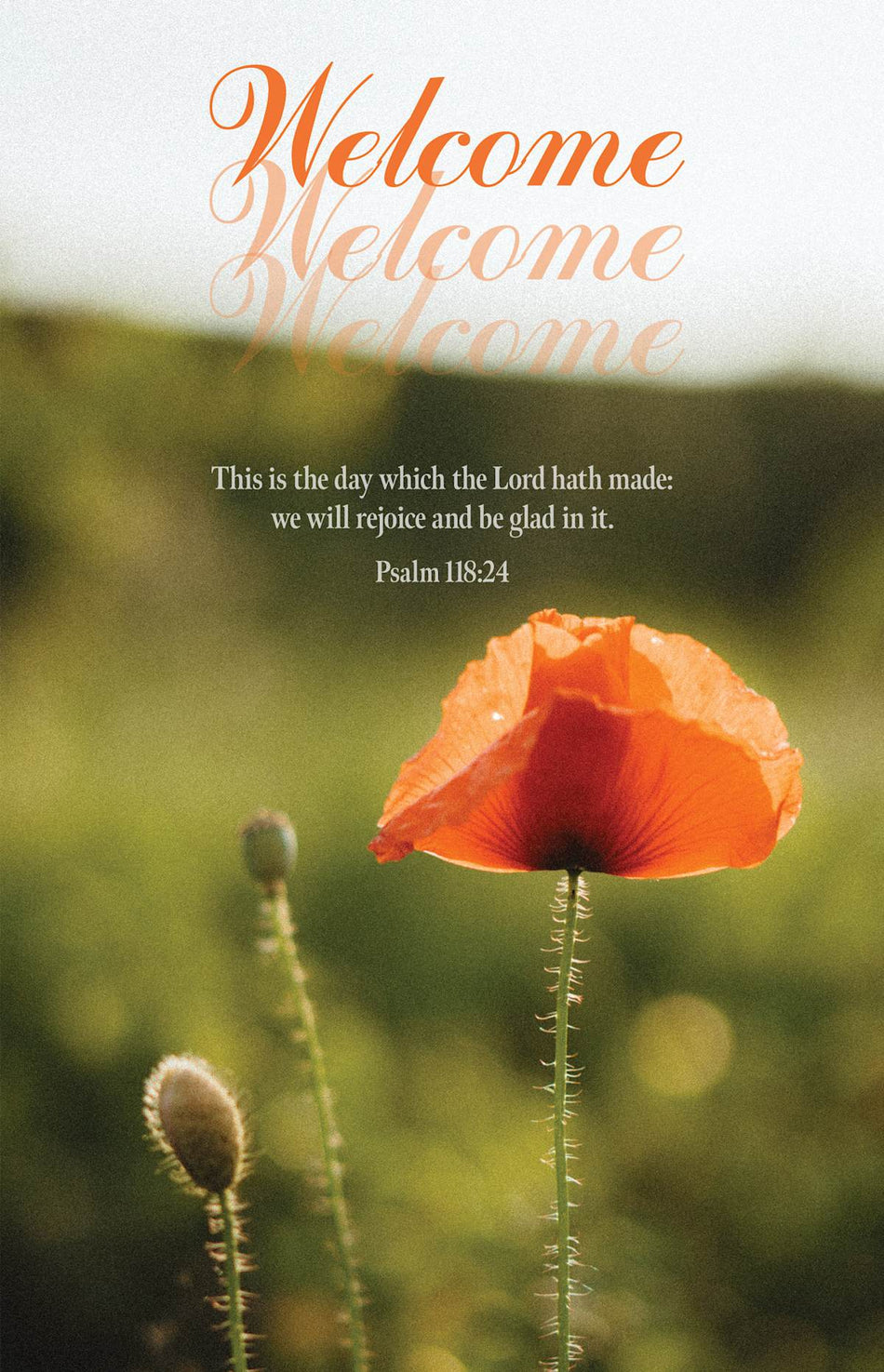 General Worship Bulletin: We Are Glad You Are Here - Summer (Package of 100): Psalm 118:24 (KJV) by Broadman and Holman
