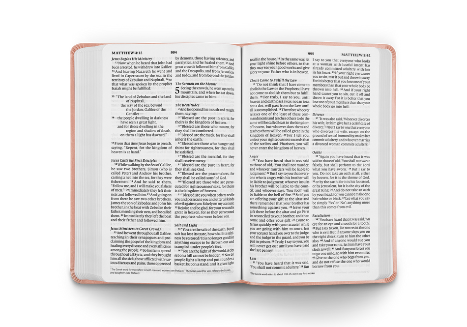 ESV Large Print Value Thinline Bible (Blush Rose) by Crossway, product view 2