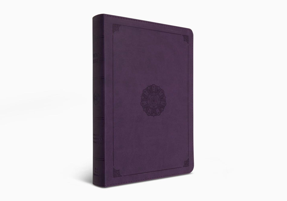 ESV Large Print Bible