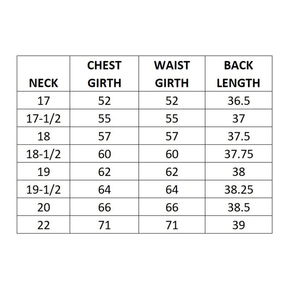 Roomey Toomey Neckband Shirt Long Sleeve by Christian Brands, product view 2