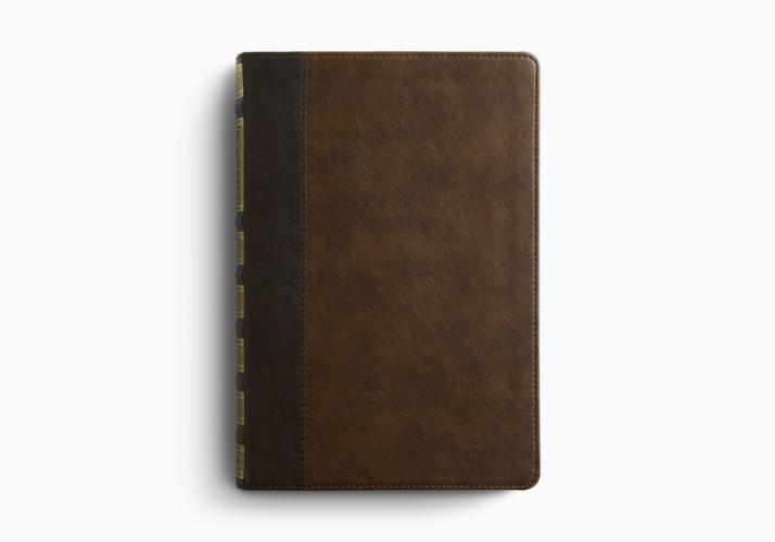 ESV Church History Study Bible: Voices from the Past, Wisdom for the Present Hardcover