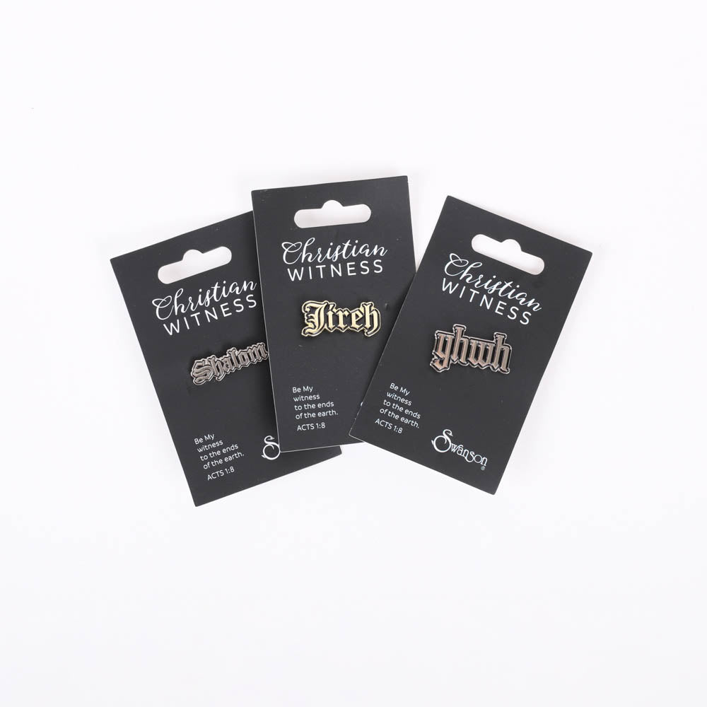LAPEL PIN VARIETY NAMES OF GOD 3PC