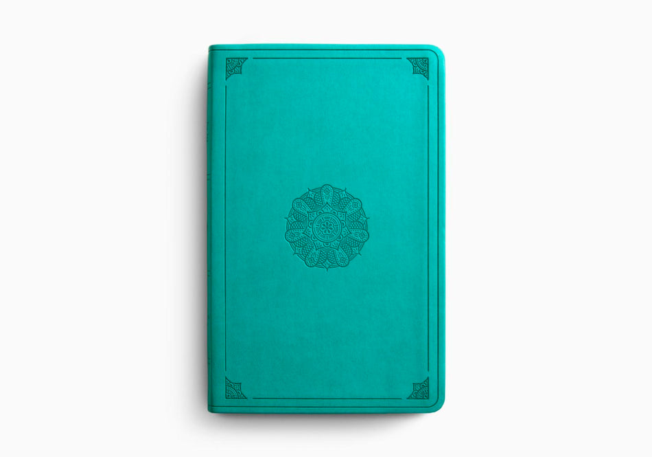 ESV Large Print Value Thinline Bible
