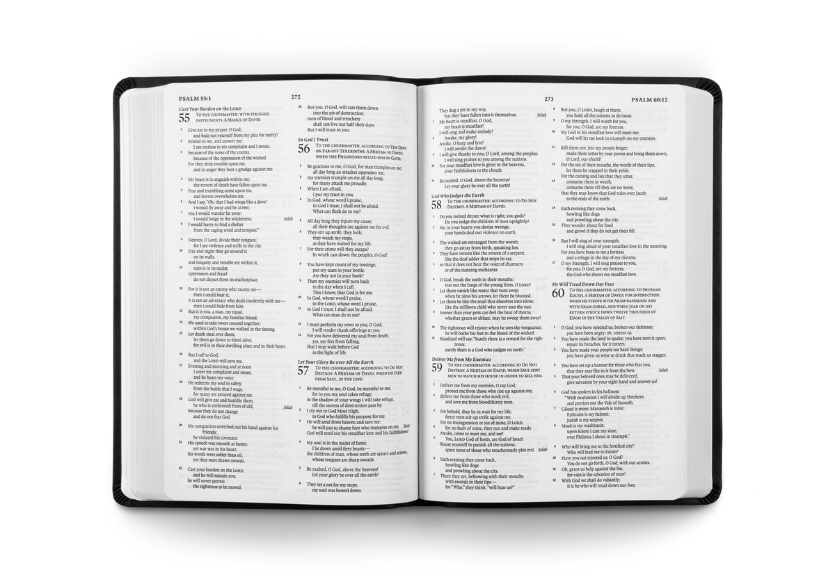 ESV Gift and Award Bible – Imitation Leather by Crossway, product view 2