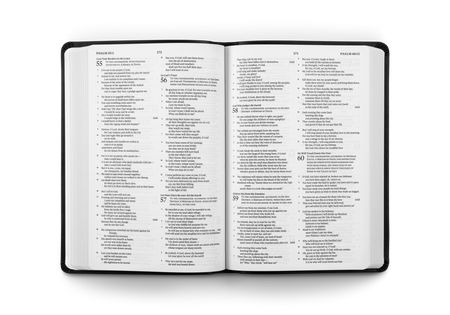 ESV Gift and Award Bible – Imitation Leather by Crossway, product view 2