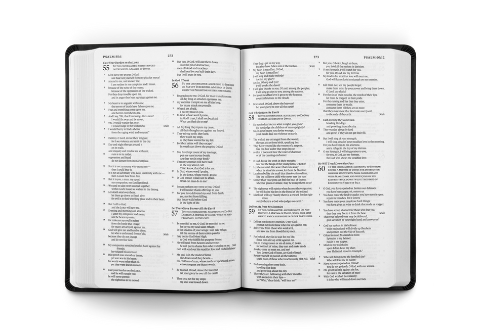 ESV Gift and Award Bible – Imitation Leather by Crossway, product view 2