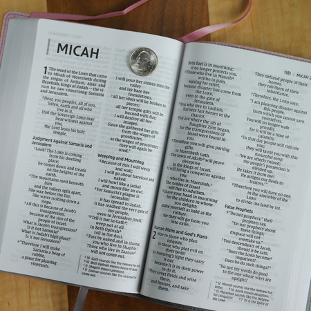 NIV, Personal Size Bible, Large Print, Red Letter Edition, Comfort Print – Leathersoft™ Large Print, product view 3