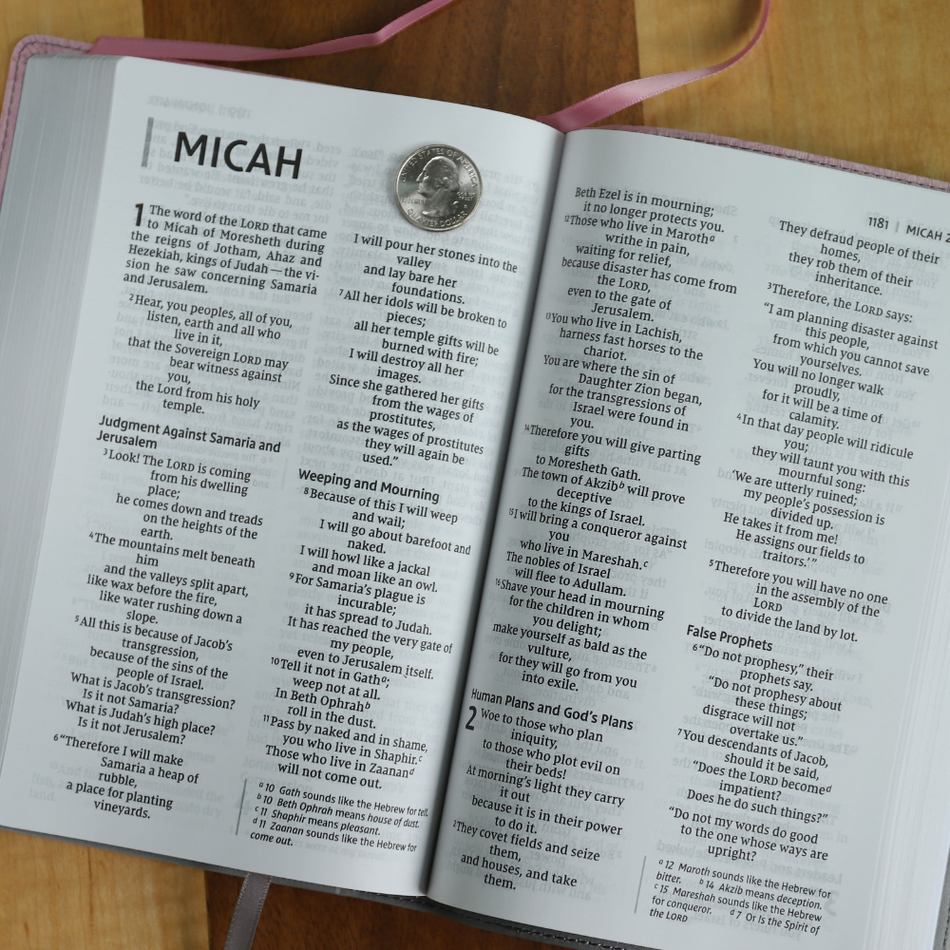 NIV, Personal Size Bible, Large Print, Red Letter Edition, Comfort Print – Leathersoft™, Black, Thumb Indexed, product view 2