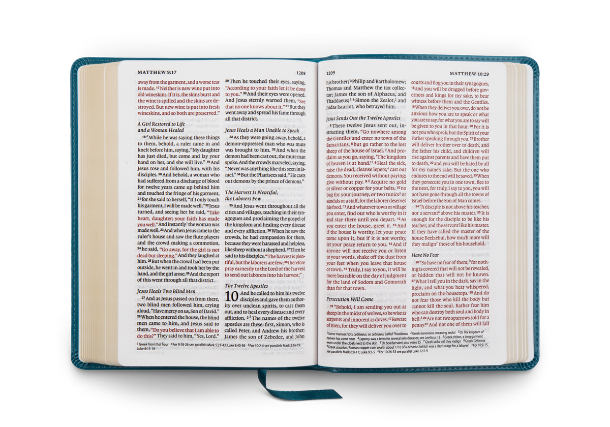 ESV Large Print Personal Size Bible, Red Letter – Leather by Crossway, product view 2