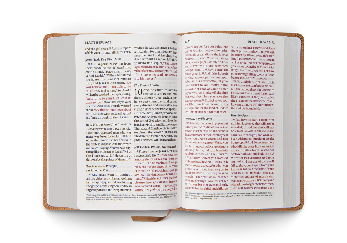 ESV Giant Print Personal Size Bible, Red Letter – Leather, TruTone®, Nubuck Caramel, Wildflower Design, product view 2