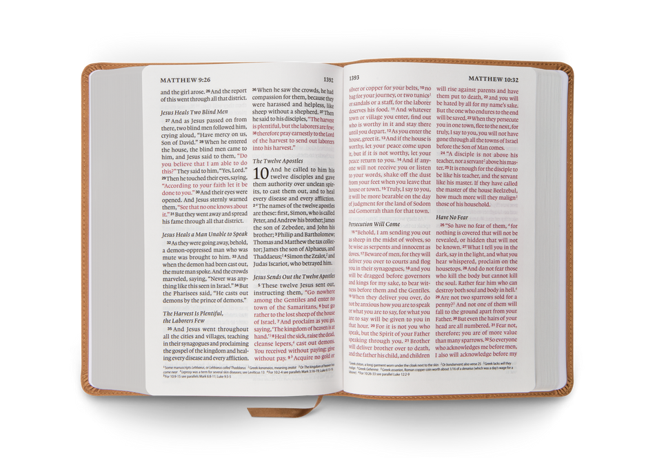 ESV Giant Print Personal Size Bible, Red Letter – Leather, TruTone®, Nubuck Caramel, Wildflower Design, product view 2