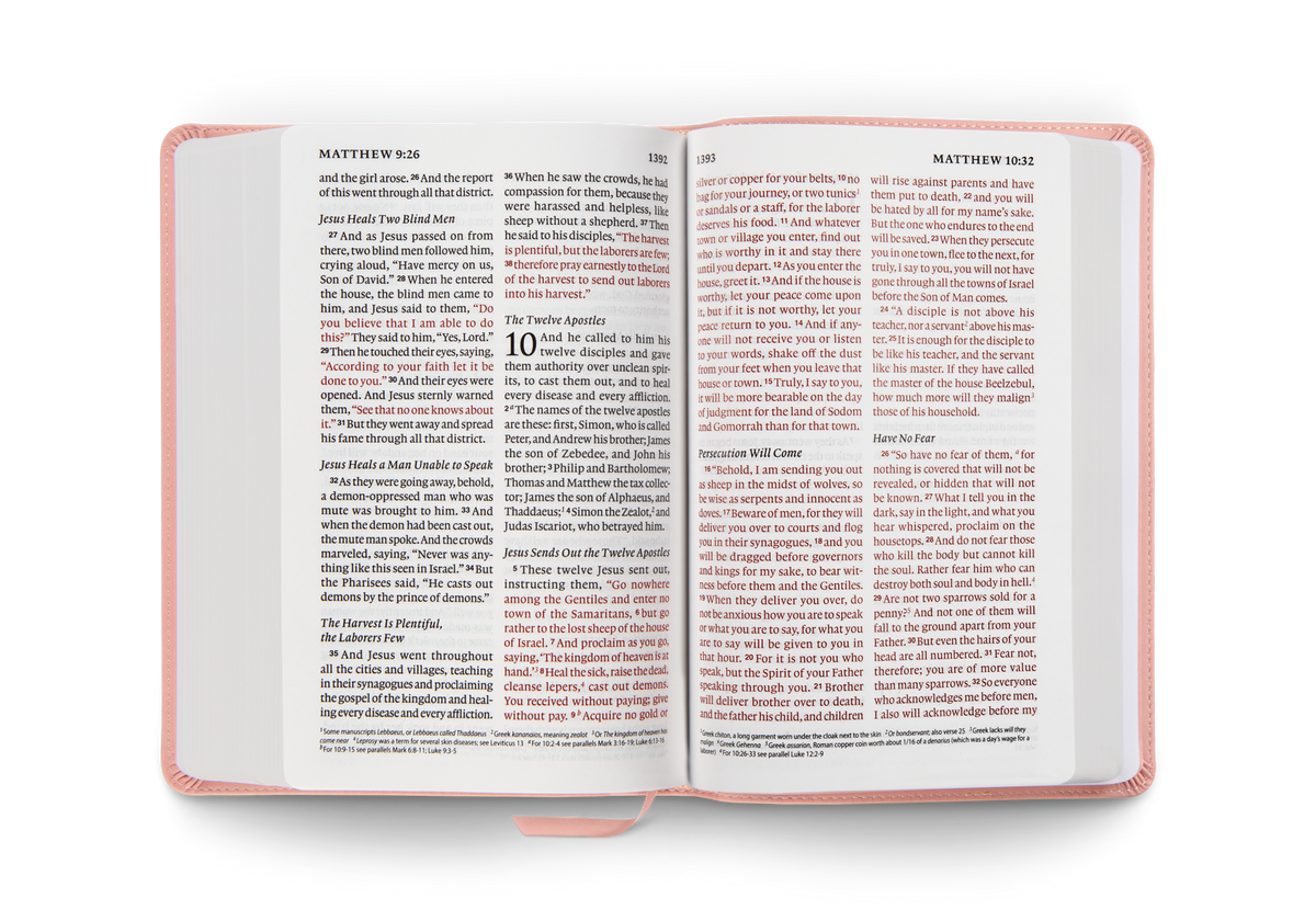 ESV Giant Print Personal Size Bible, Red Letter by Crossway, product view 2