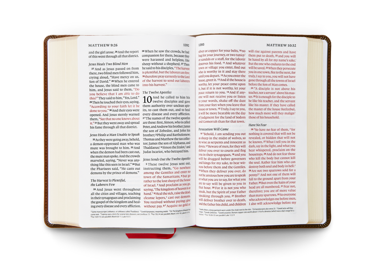 ESV Giant Print Personal Size Bible, Red Letter – Leather by Crossway, product view 2