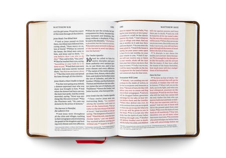 ESV Giant Print Personal Size Bible, Red Letter – Leather by Crossway, product view 2