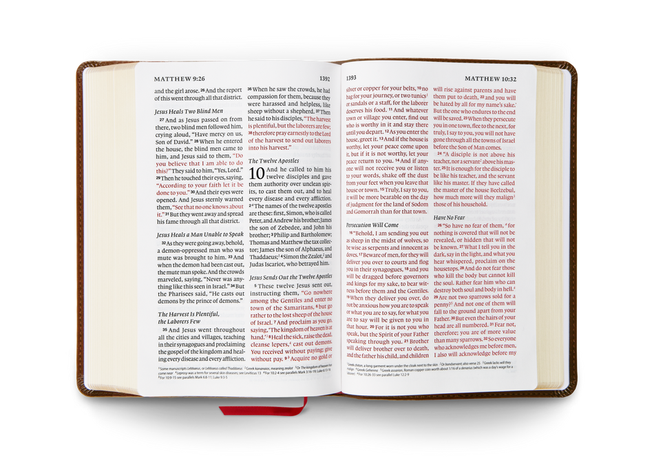 ESV Giant Print Personal Size Bible, Red Letter – Leather by Crossway, product view 2