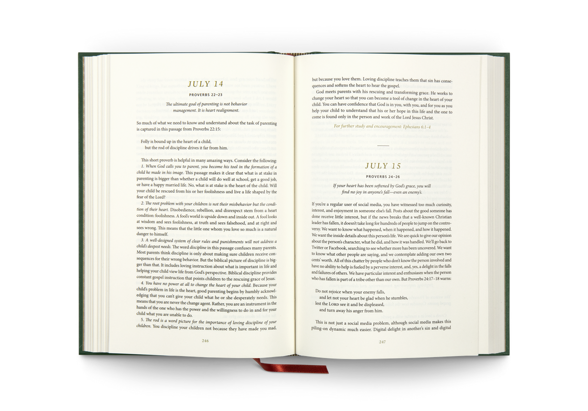 Everyday Gospel: A Daily Devotional Connecting Scripture to All of Life by Crossway, product view 2