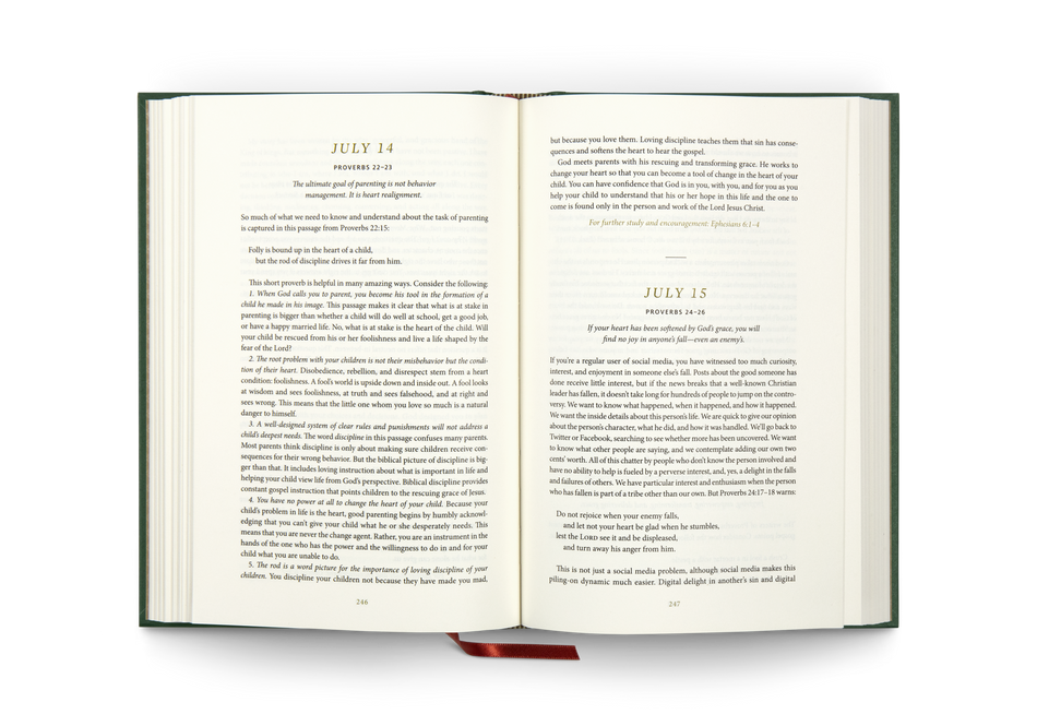 Everyday Gospel: A Daily Devotional Connecting Scripture to All of Life by Crossway, product view 2
