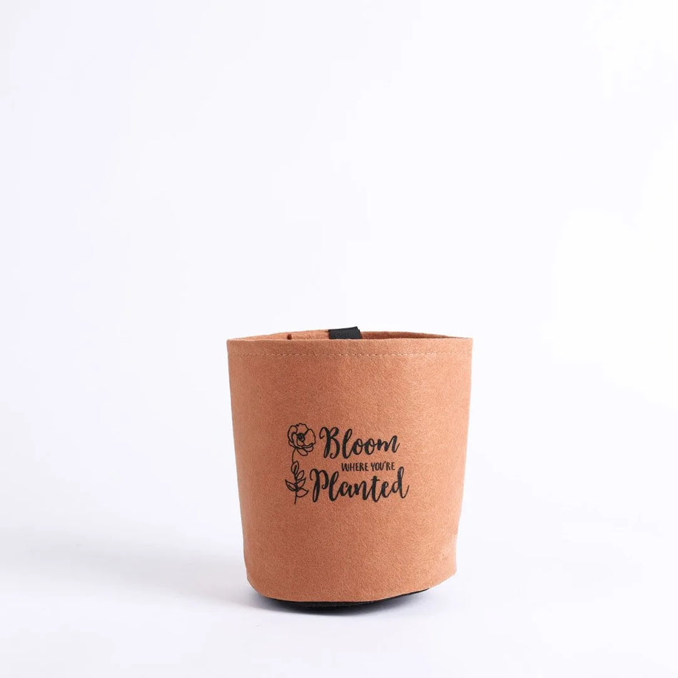 Grow Bag Bloom Terra Cotta - Velcro Back - 1 Gallon