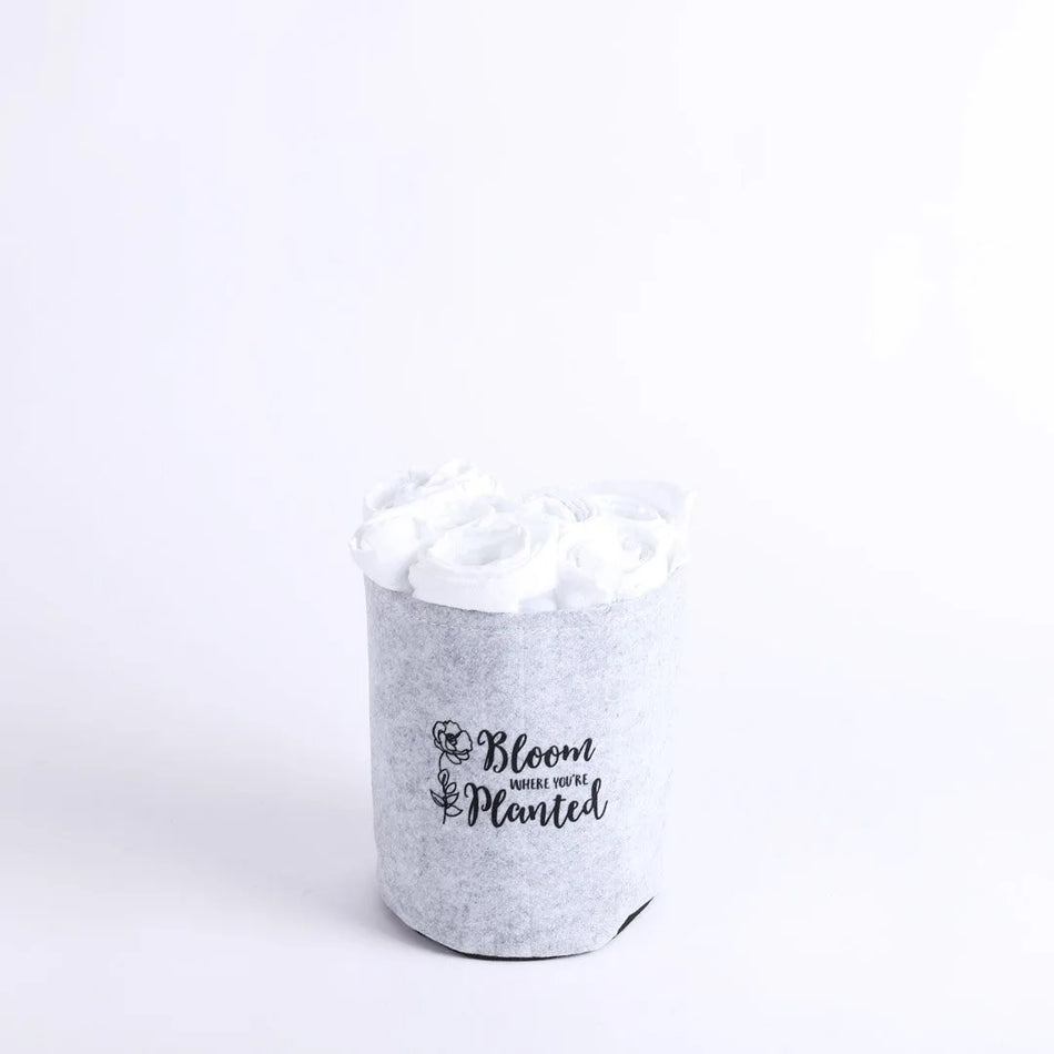 Grow Bag Bloom Grey - Velcro Back - 1 Gallon